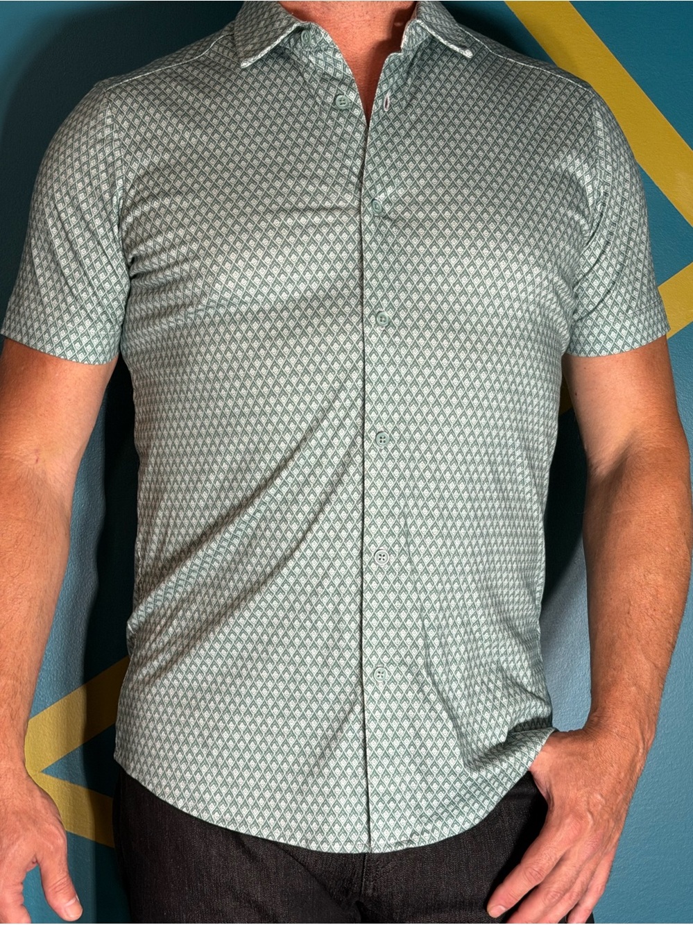 Raffi, Italian Green Patterned Short Sleeve Polo Shirt, Dressy to casual
